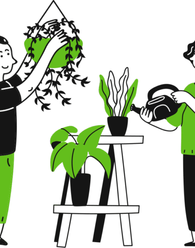 service-feature-1